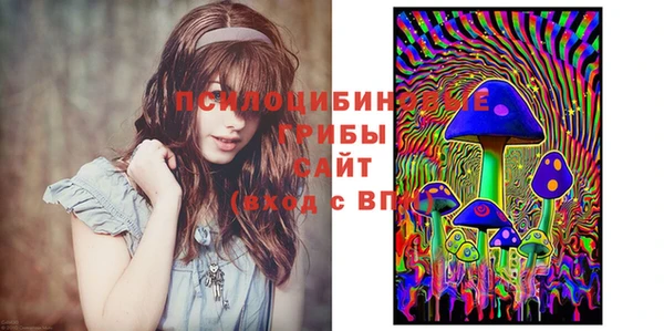 кокс Арсеньев