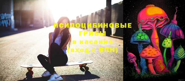 кокс Арсеньев