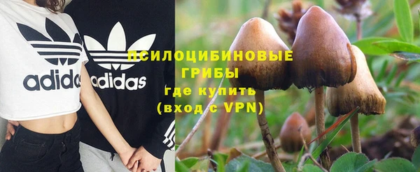 кокс Арсеньев