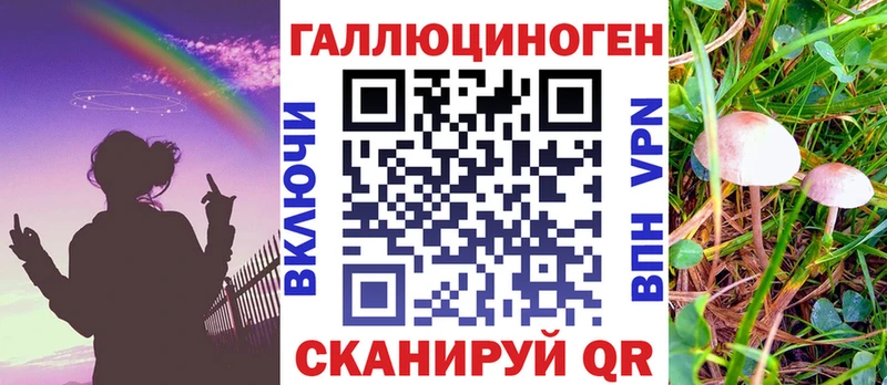 закладки  Елабуга  Галлюциногенные грибы прущие грибы 