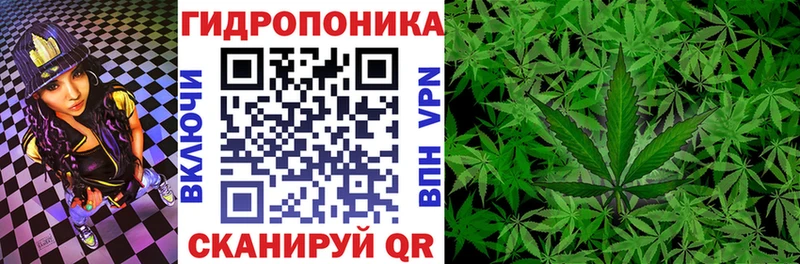 Бошки марихуана конопля  Елабуга 
