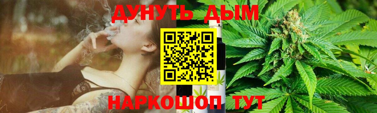 Конопля семена  Вход с VPN  Бошки Шишки конопля  Елабуга  Бошки марихуана планчик 